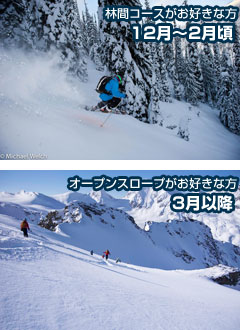 林間コースがお好きな方には12月～2月頃、オープンスロープがお好きな方には3月以降がおすすめです。
