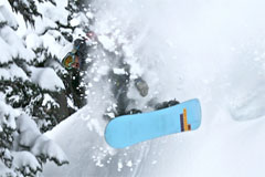 どんな斜面でも問題なく滑ることができる方であればご参加いただけます。