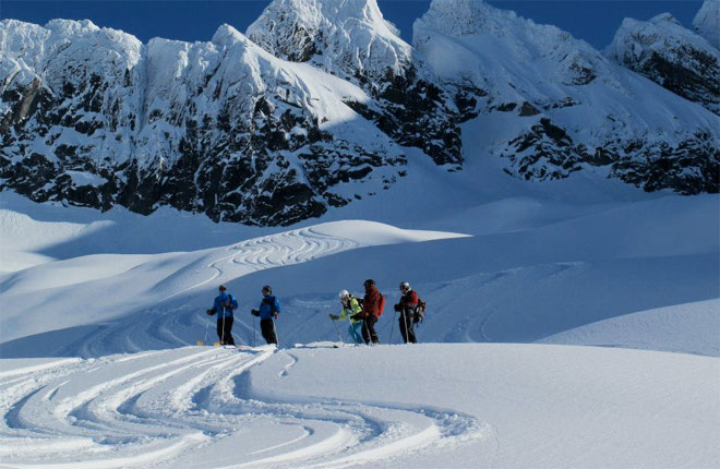 アダマンツヘリスキーの様子