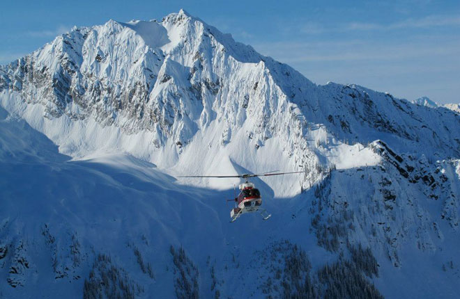 アダマンツヘリスキーの様子