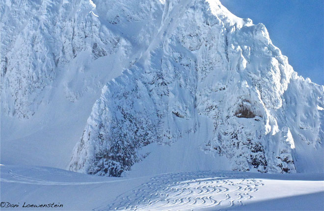 バガブースヘリスキーの様子