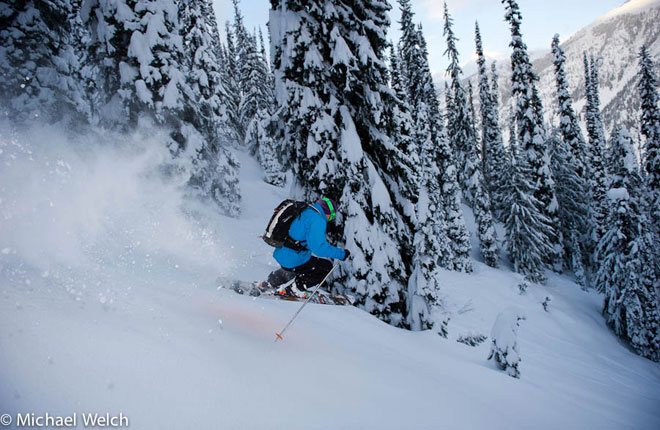 ガリーナヘリスキーの様子