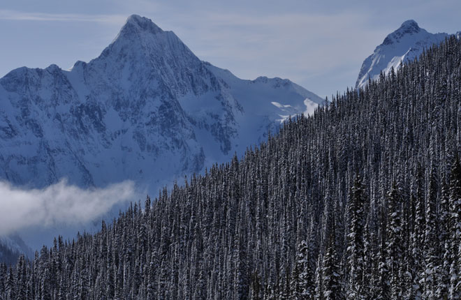 ゴシックスヘリスキーの様子