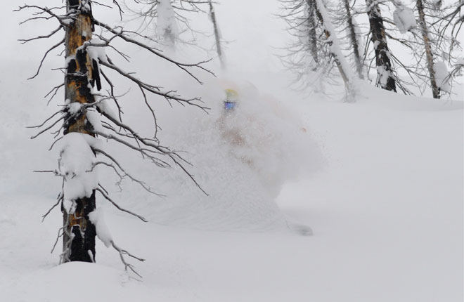 モナシーズヘリスキーの様子