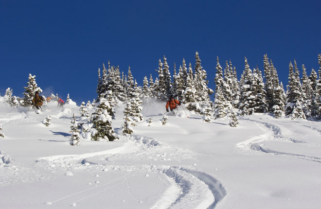 ベイルモントヘリスキーの様子